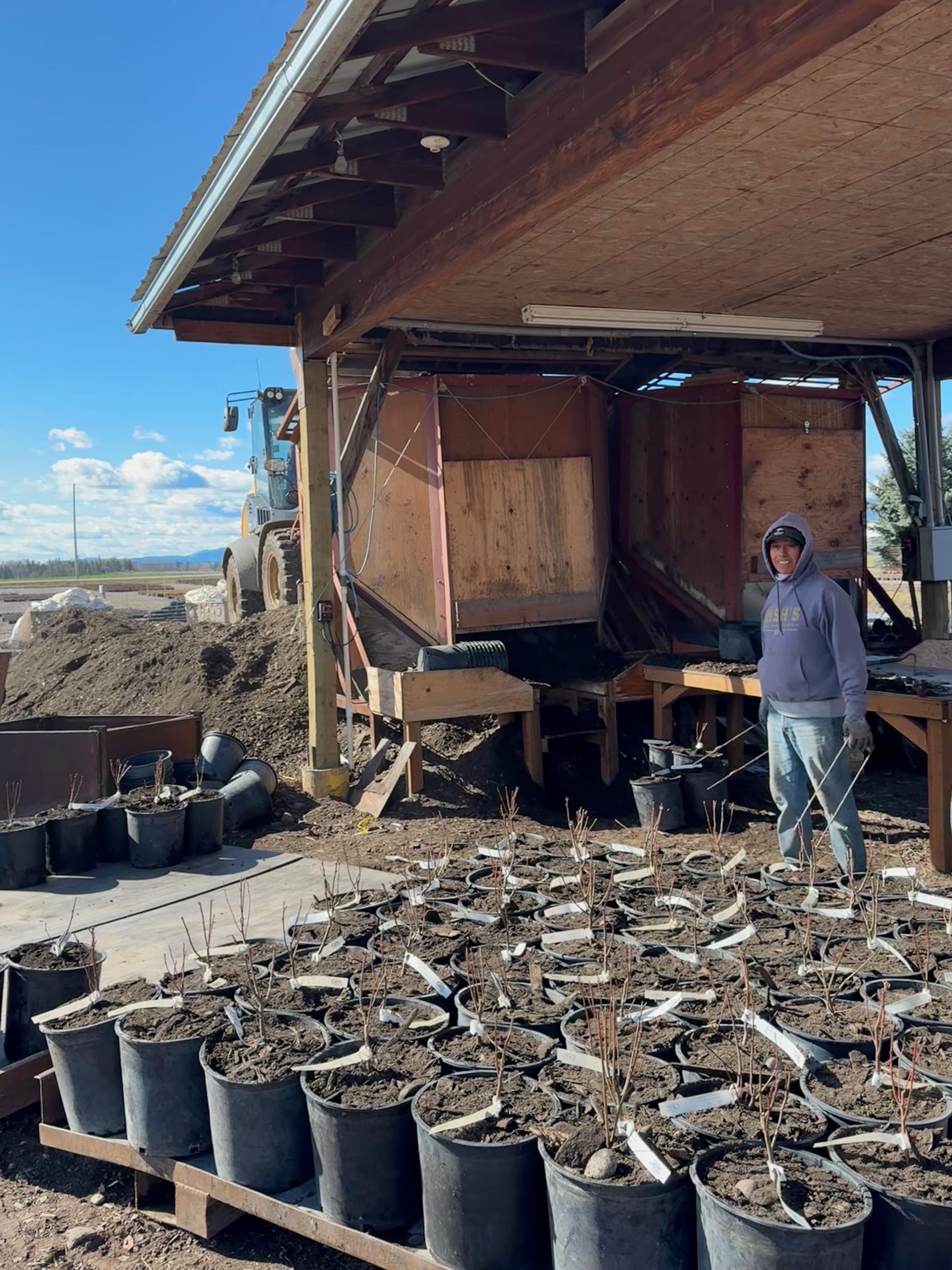 Featured image for “4.17 PLANTING & SHIPPING”